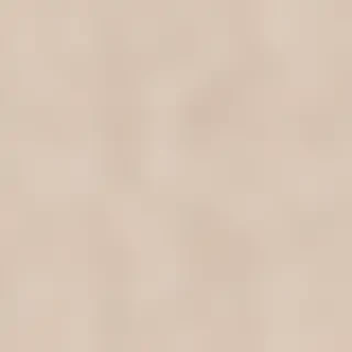 classy neutral iphone wallpaper