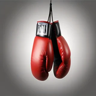 boxing gloves png
