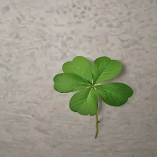 4 leaf clover png