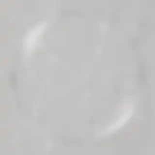 circle transparent