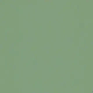 sage green bg