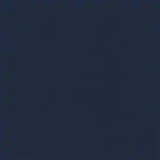 navy blue bg
