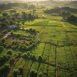 farmland png