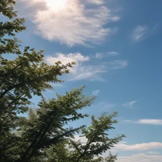 clear sky