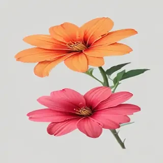 flower no background