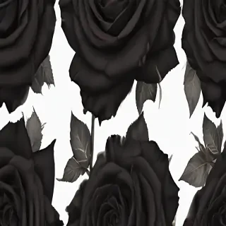 black roses png