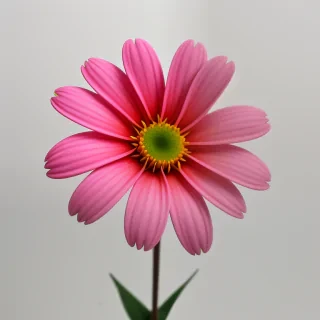 flower no bg