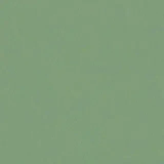 sage green bg
