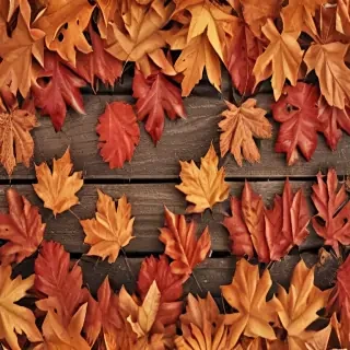 autumn background iphone