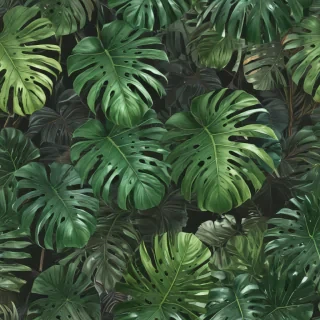 aesthetic monstera wallpaper