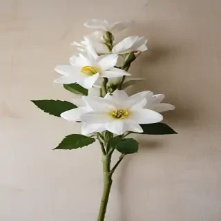 aesthic flower