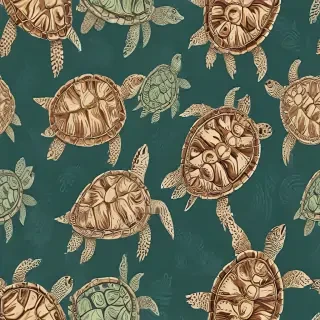 turtle background