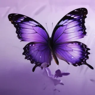 wallpaper purple butterfly