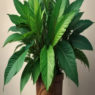plant iphone wallpaper