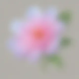 flower clip art transparent