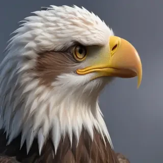 bald eagle png