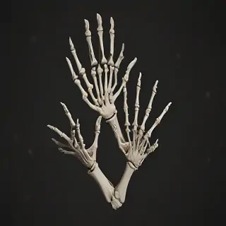skeleton hands png