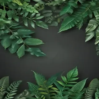 plants background