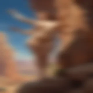 boing boing