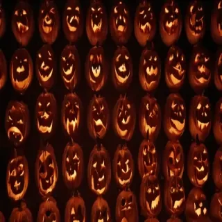 halloween pumpkin background