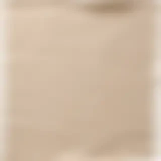 aesthetic ripped paper png