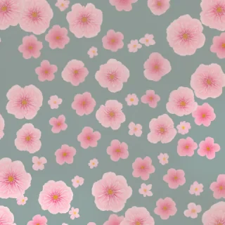 flowers clear background