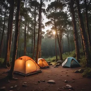 camping png