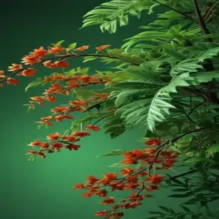 aesthetic wallpapers green