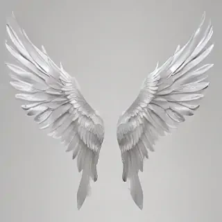 wings transparent