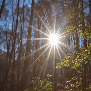 lens flare