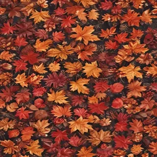 fall background iphone