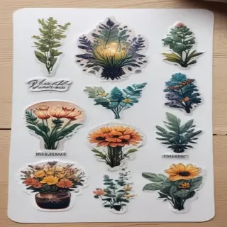 transparent aesthetic stickers