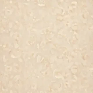 backgrounds cream