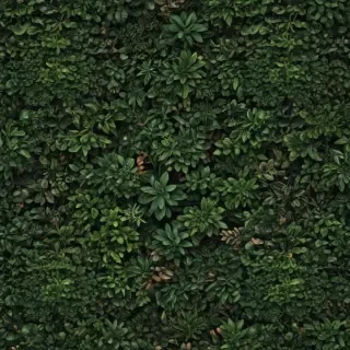 plant desktop wallpaper