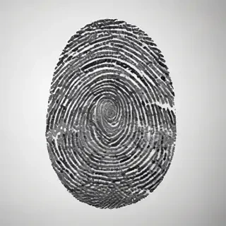 fingerprint png
