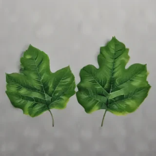 leaves png transparent