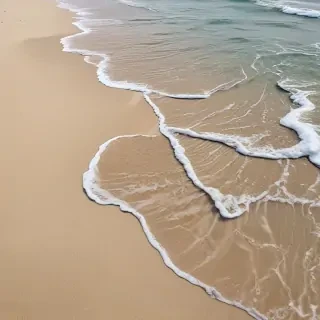 beach pictures