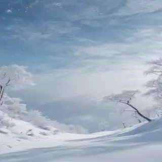 transparent snow png
