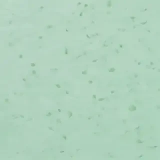 mint green background
