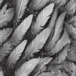 feather background