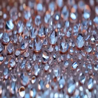 sparkles transparent