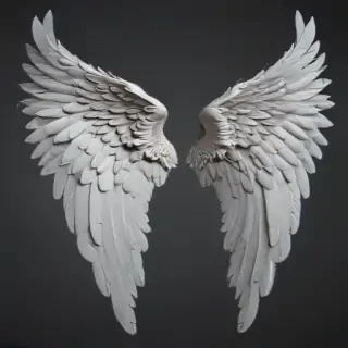 png angel wings