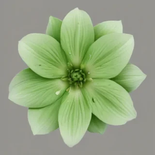 green flower png