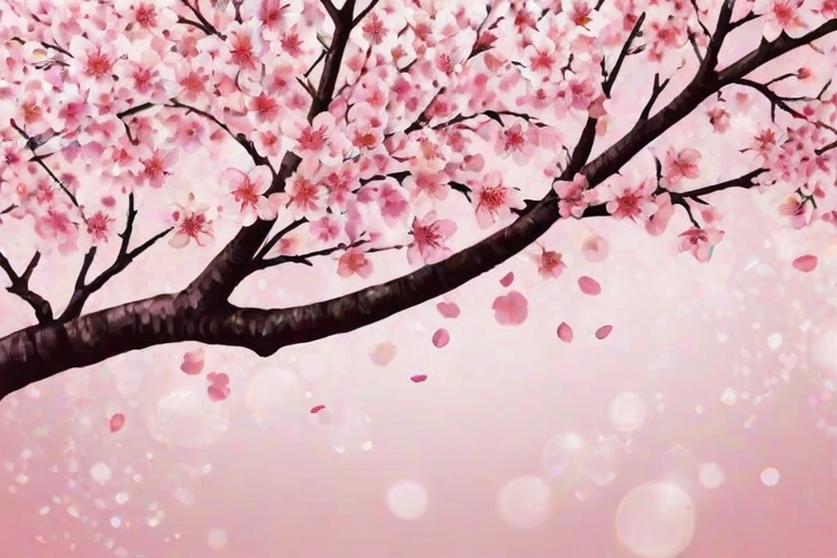 cherry blossom backgrounds