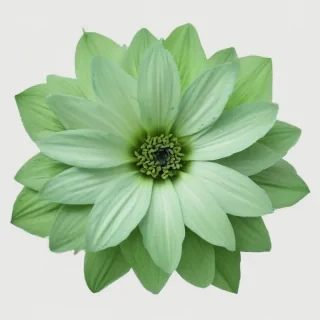 green flower png