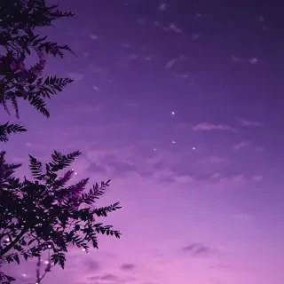 purple aesthetic wallpapers iphone