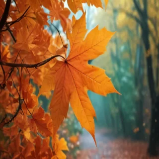 autumn leaves iphone wallpaper