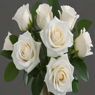 white roses png