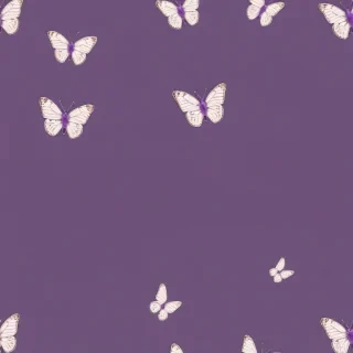 butterfly purple