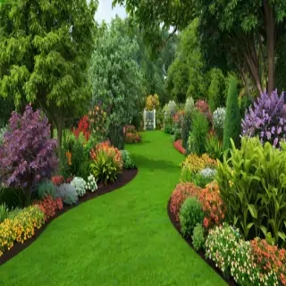 garden png